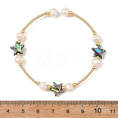Natural Paua Shell & Potato Pearl Beaded Stretch Bracelets BJEW-JB14172-02-1
