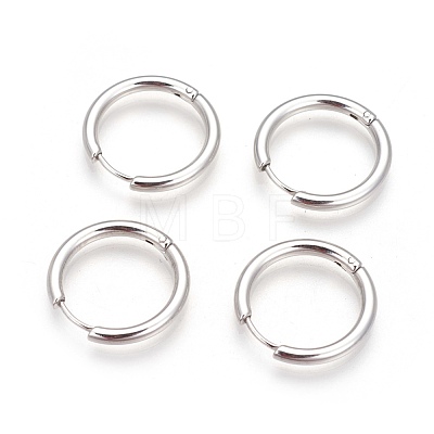 304 Stainless Steel Hoop Earrings EJEW-P177-P-17-1