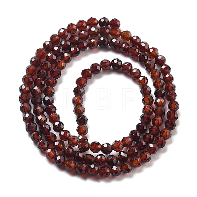 Natural Garnet Beads Strands G-H079-A01-03D-1