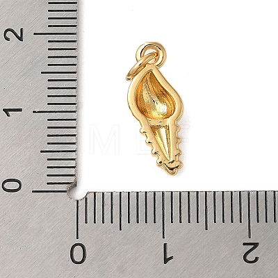 Rack Plating Brass Pendants KK-P279-07B-G-1