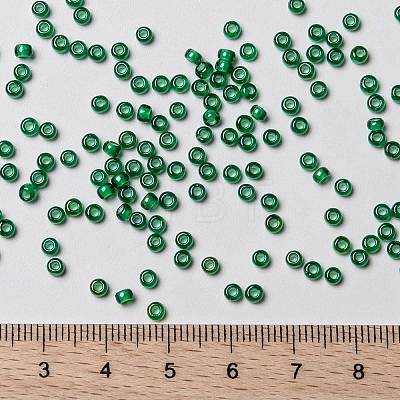 MIYUKI Round Rocailles Beads X-SEED-G008-RR3763-1