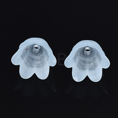 Transparent Acrylic Bead Caps FACR-N005-002D-1