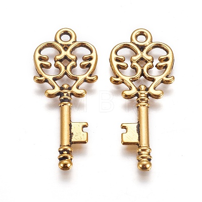 Tibetan Style Alloy Pendants LS-GLF11137Y-1