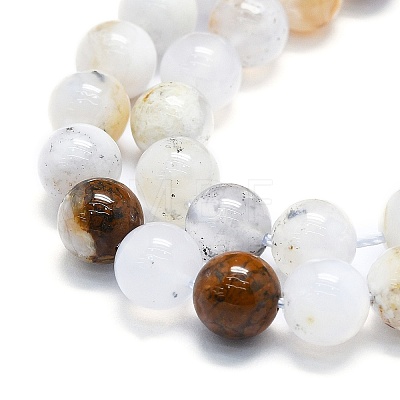 Natural White African Opal Beads Strands G-K245-A18-04-1