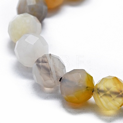 Natural Botswana Agate Beads Strands G-G927-17A-1