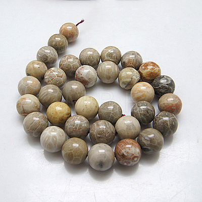 Natural Fossil Coral Round Bead Strands G-N0166-05-8mm-1