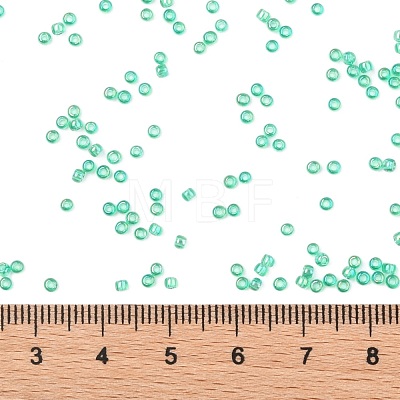 TOHO Round Seed Beads SEED-TR11-0164B-1