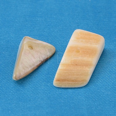 Natural Freshwater Shell Chips Beads BSHE-S007-11-1