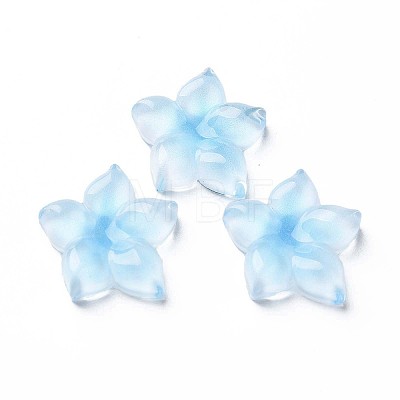 Transparent Epoxy Resin Cabochons LS-CRES-S365-23B-1