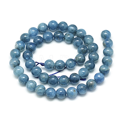Natural Apatite Beads Strands X-G-S150-18-10mm-1