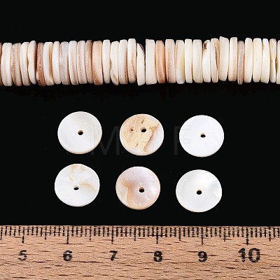 Natural Freshwater Shell Beads Strands SHEL-N037-03A-01-1