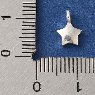 925 Sterling Silver Charms LS-FIND-U013-06S-02-1