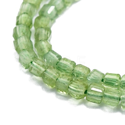 Natural Green Apatite Beads Strands G-P457-B01-12-1