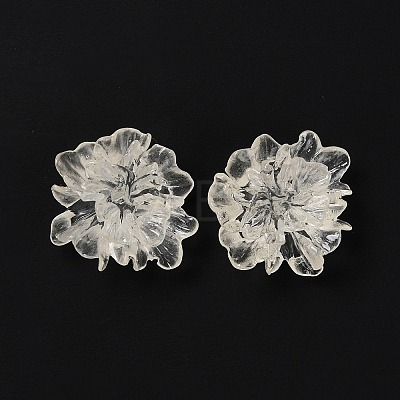 Transparent Resin Cabochons LS-RESI-G027-01A-1