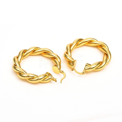 Brass Hoop Earrings EJEW-F250-04-G-1