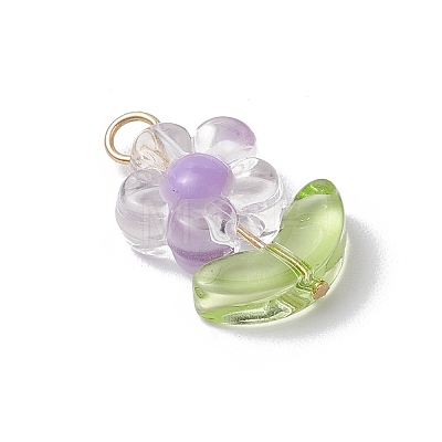 Transparent Acrylic Pendants PALLOY-JF03713-02-1