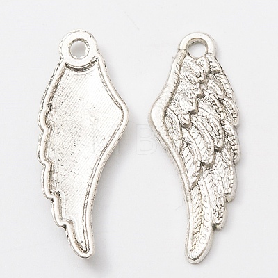 Alloy Pendant FIND-PW0001-013AS-06-1
