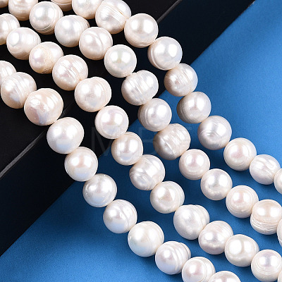 Natural Cultured Freshwater Pearl Beads Strands PEAR-N013-17N-01-1