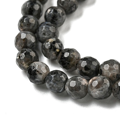 Natural Larvikite Beads Strands G-E571-A09-01-1