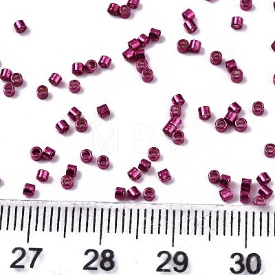 FGB 11/0 Grade A Glass Seed Beads X-SEED-S030-1211-1