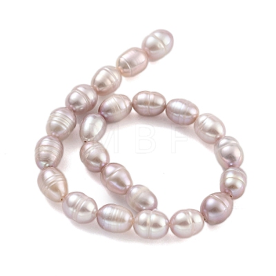 Natural Cultured Freshwater Pearl Beads Strands PEAR-P062-08E-1