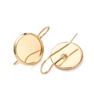 Brass Earring Hooks KK-H298-03G-1