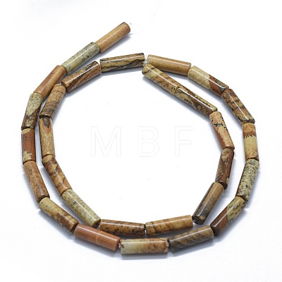 Natural Picture Jasper Beads Strands G-F631-D04-02-1