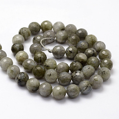 Faceted Natural Labradorite Beads Strands G-F364-17-8mm-1