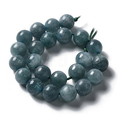 Dyed Natural Malaysia Jade Beads Strands G-G021-01B-01-1