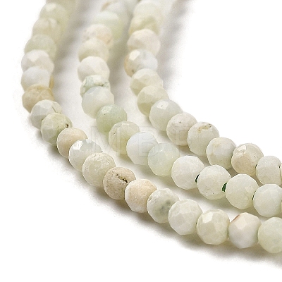 Natural Green Opal Beads Strands G-Z035-A02-01A-1