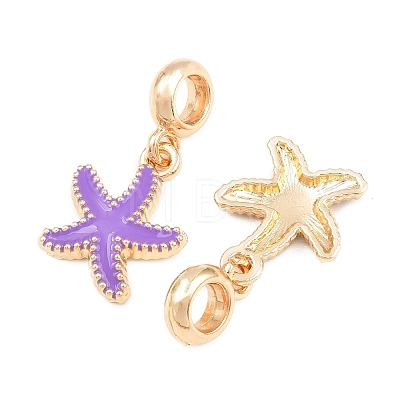 Alloy Enamel European Dangle Charms AL-CBAC2D3-02G-02-1