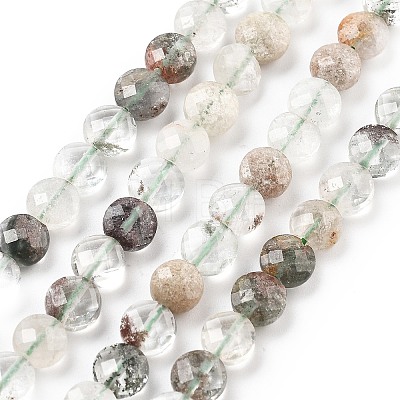 Natural Green Lodolite Quartz Beads Strands G-C179-A19-02-1