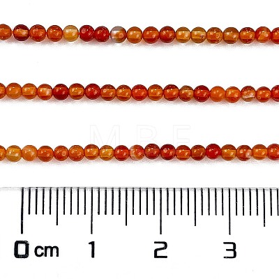 Natural Red Agate Beads Strands G-M438-A10-02-1