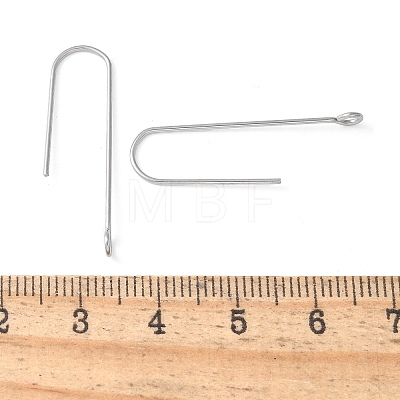 316 Surgical Stainless Steel Earring Hooks STAS-Z124-02D-P-1