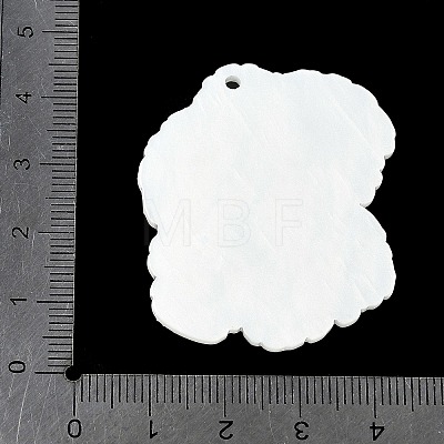 Acrylic Pendants OACR-V001-03F-1