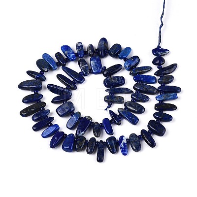 Natural Lapis Lazuli Beads Strands G-Z091-A23-1