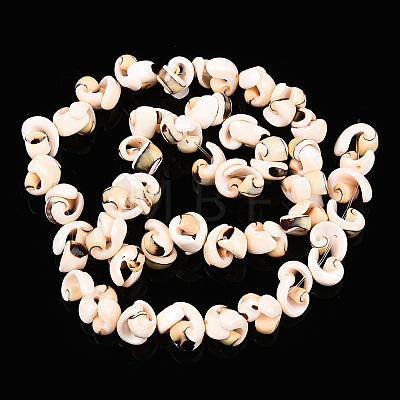 Natural Spiral Shell Beads Strands SSHEL-G024-02-1