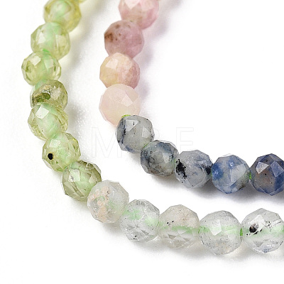 Natural Mixed Gemstone Beads Strands G-D080-A01-03-07-1