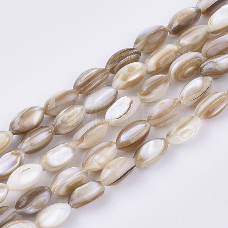 Freshwater Shell Beads Strands SHEL-S276-34B-1