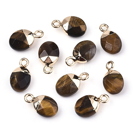 Natural Tiger Eye Charms X-G-N326-58C-1
