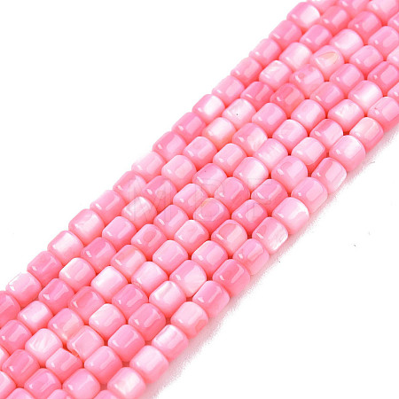 Natural Freshwater Shell Beads Strands X-SHEL-N003-33-A09-1
