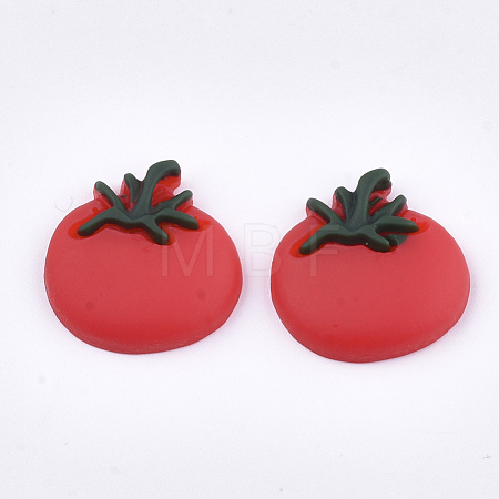 Resin Cabochons CRES-T010-78-1