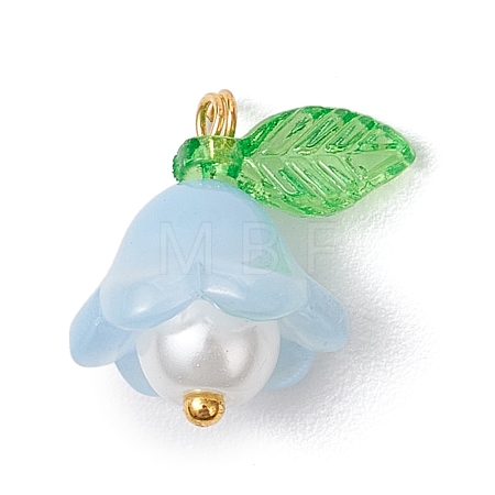Glass Pendants PALLOY-MZ00837-05-1