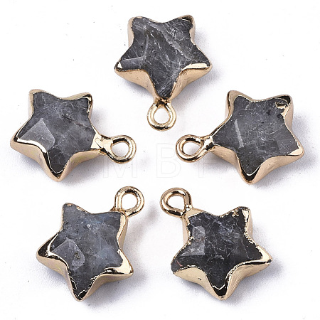 Natural Labradorite Pendants G-N326-36B-1