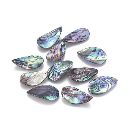Natural Abalone Shell/Paua Shell Pendants SSHEL-F303-04-1