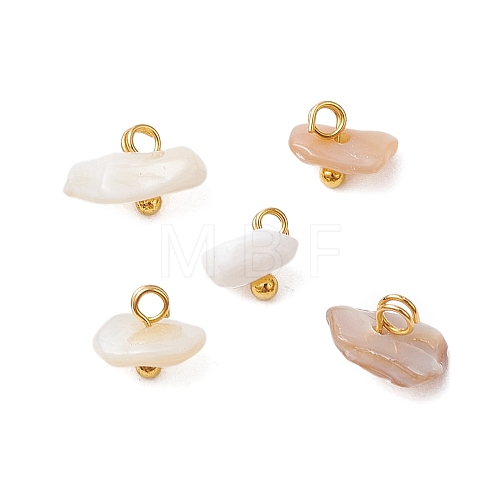 Natural Sea Shell Chip Charms PALLOY-JF03438-01-1