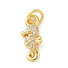 Brass Micro Pave Cubic Zirconia Charms KK-I381-07G-03-1