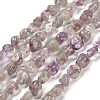 Natural Purple Phantom Quartz Purple Lodolite Quartz Beads Strands G-P497-01E-39A-1