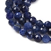 Natural Sodalite Beads Strands G-L622-C04-3mm-4