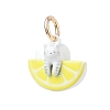 Spray Painted Brass Pendants KK-CBAE20A-02A-G-1